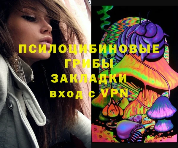 синтетический гашиш Бердск